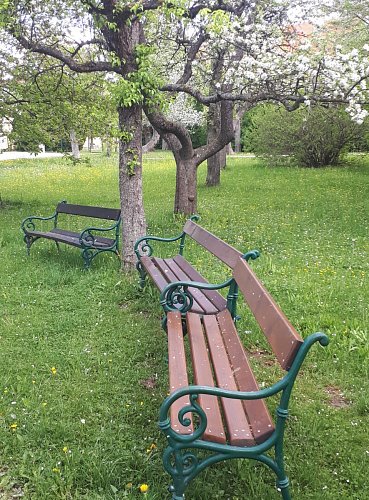 Borovany
