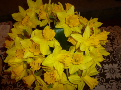 už je Jaro v rozkvětu