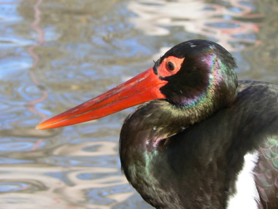 Bylo na čase se vrátit...