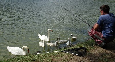 cekame-na-svacinku.jpg
