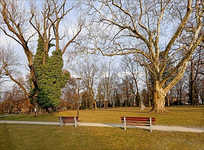 Posaď se a kochej ...