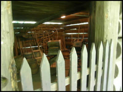 cesta-do-kourimi-13-.jpg