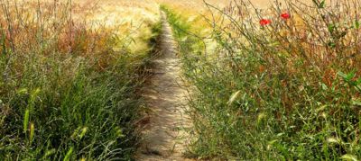 Pěšinka v obilí vyšlapaná