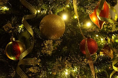 christmas-tree-708002_1280.jpg