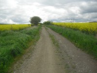 moje radost