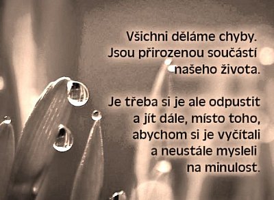 citaty-vsichni-delame-chyby-jsou-prirozenou-605x605.jpg
