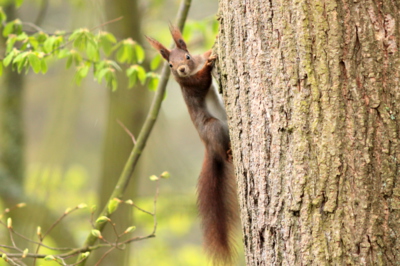 Co koukáte, ...je tu jaro!