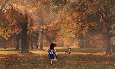 Podzimní odstíny života