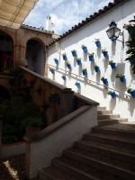 Cordoba - patia