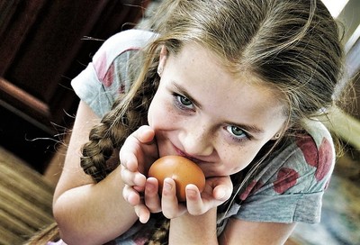 Vejce v centru pozornosti