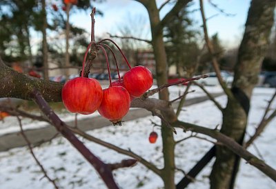 I když se tulíme, bez kožíšku asi zmrzneme ...