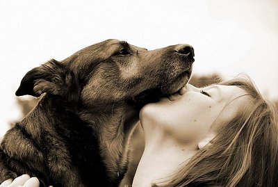 Polibky, mazlení. Mají to psi rádi?
