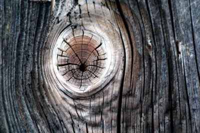 Ve dřevě ukrytá...