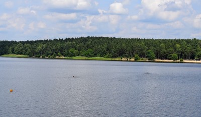 dsc-0003-2.jpg