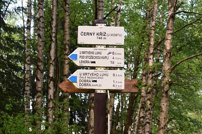 dsc-1167.jpg