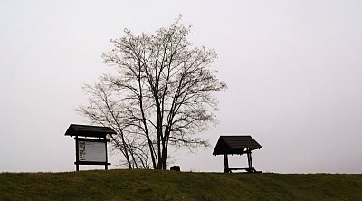 dsc-1355.jpg