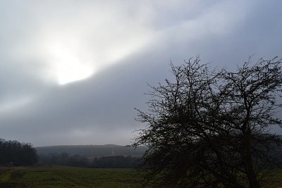 dsc-1369.jpg