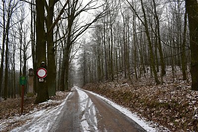 dsc-1417.jpg
