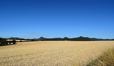 dsc-2345.jpg