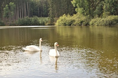 dsc-2850.jpg