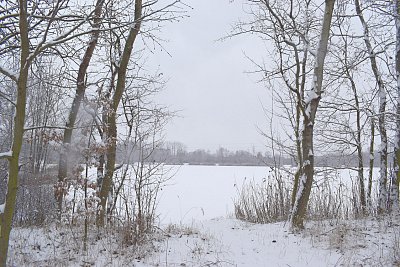 dsc-6375.jpg