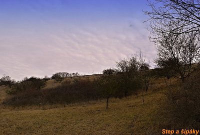 dsc-6779.jpg