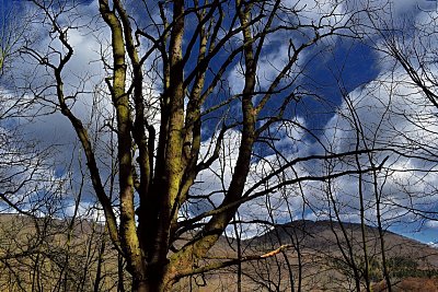 dsc-7130-kopie.jpg