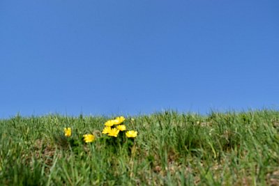 dsc-8080.jpg