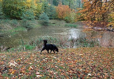 dsc00429-rybnicek-u-parkoviste.jpg