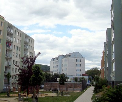 dsc00498-1.jpg