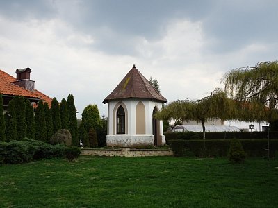dsc00556-1.jpg