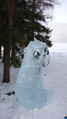 dsc00662-kopie.jpg