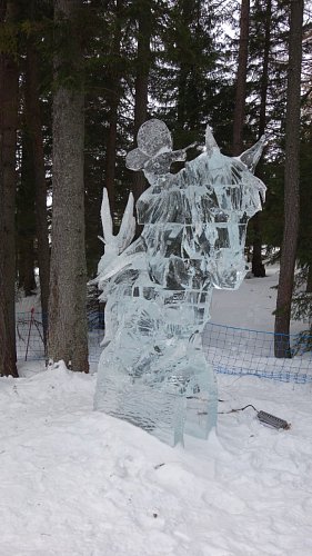 dsc00666-kopie.jpg