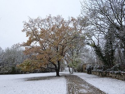dsc02114-v-parku.jpg