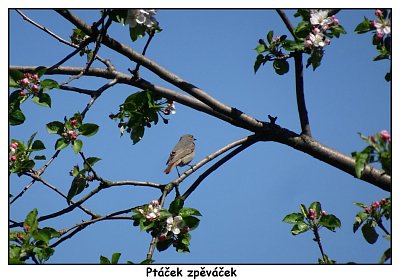 dsc02724-1.jpg