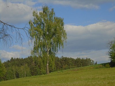 dsc02868.jpg
