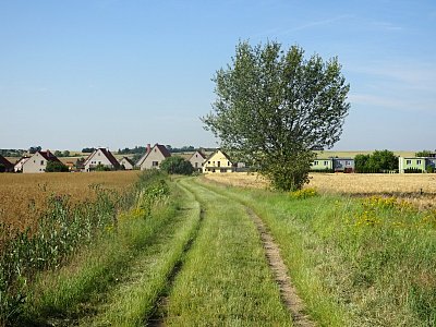 Cestička k domovu