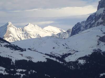 Alpské vrcholy