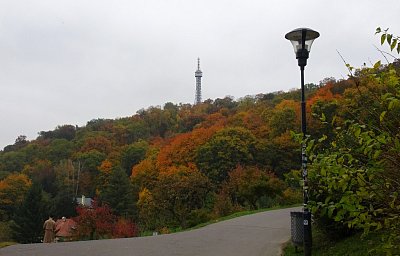dsc04404.jpg