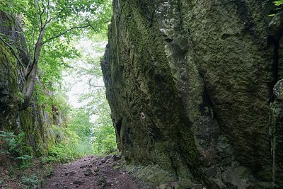 dsc04767-1.jpg