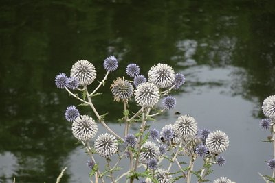 dsc04806-1.jpg
