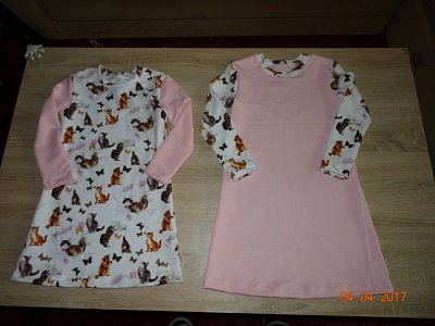 dsc05510.jpg