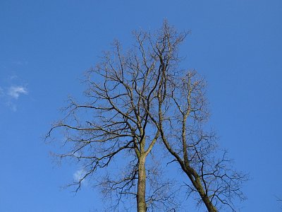 dsc06103-milenci.jpg
