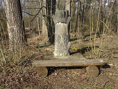 dsc06105-pomnik-padlemu-topolu.jpg