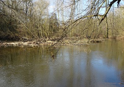 dsc06114-co-prinasi-reka.jpg