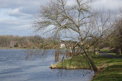 dsc06225.jpg