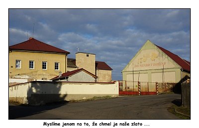dsc06696.jpg
