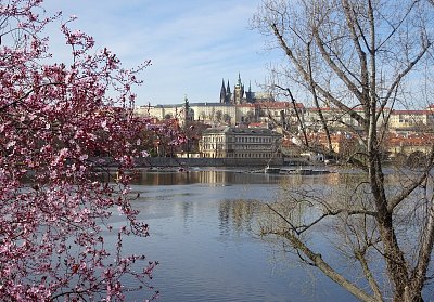 dsc06956-hradcany-v-ruzovem-1.jpg