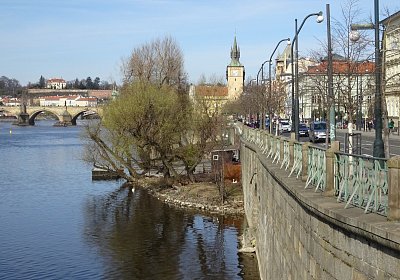 dsc06972-labut-na-hnizde-v-centru-prahy.jpg