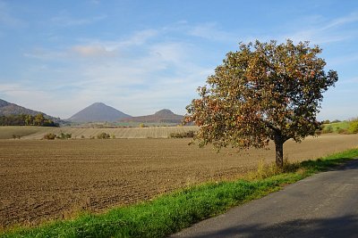 dsc07439-milesovka-ostry-a-strom-u-silnice.jpg